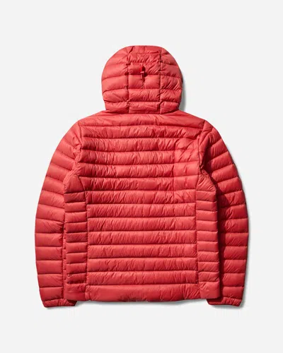 Patagonia Men S Down Sweater Hooded Jacket Amarant In Red
