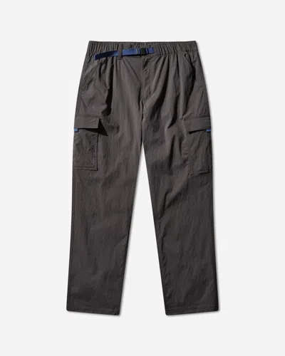 Patagonia Men S Outdoor Everyday Pants Ink In Brown