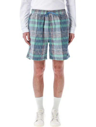 Patagonia Baggies Naturals Shorts In Multi