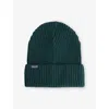 Patagonia Mens Cascade Green Fishermans Logo-patch Knit Beanie Hat