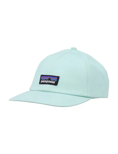 Patagonia P-6 Label Trad Cap In Green