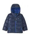 Patagonia Padded Hooded Jacket In Blue