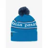 Patagonia Park Stripe: E Blue Powder Town Knit Beanie Hat In Blue