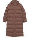 Patagonia Silent Coat In Brown