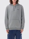 Patagonia Felpa Con Cappuccio Boardshort Logo Uprisal In Grau