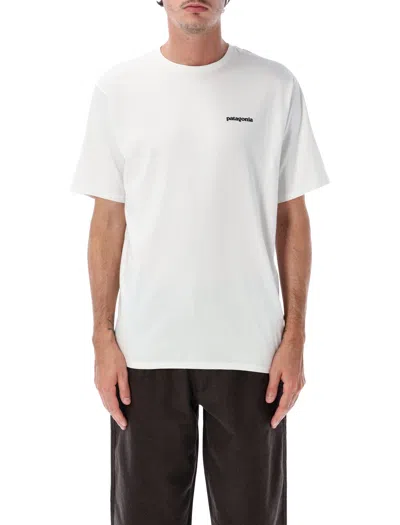 Patagonia T Shirts And Polos In Multi