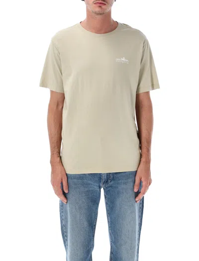 Patagonia T Shirts And Polos In Multi