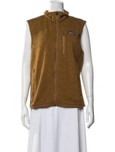 Pre-owned Patagonia Vest In Brown