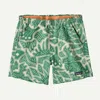 Patagonia Baggies Shorts In Heartleaf Green In Multi