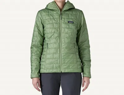Patagonia Women's Nano Puff Hoody In Ellwood Green