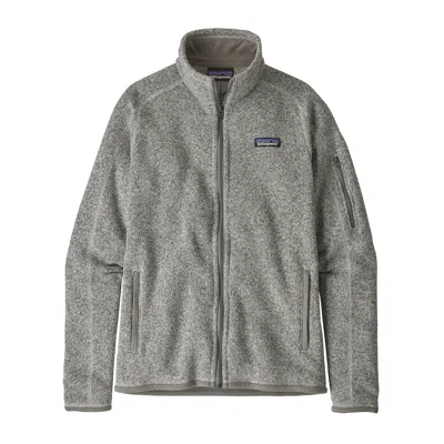 Patagonia Down-filled Puffer Jacket In Gray