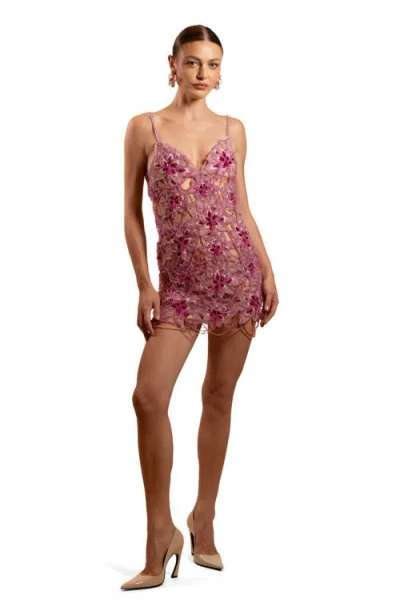 Patbo Amelia Embroidery Mini Dress In Pink