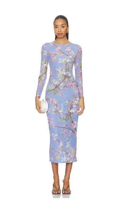 Patbo Delicata Embroidered Tulle Midi Dress In Multi