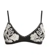 Patbo Embroidered Bikini Bottoms In Black