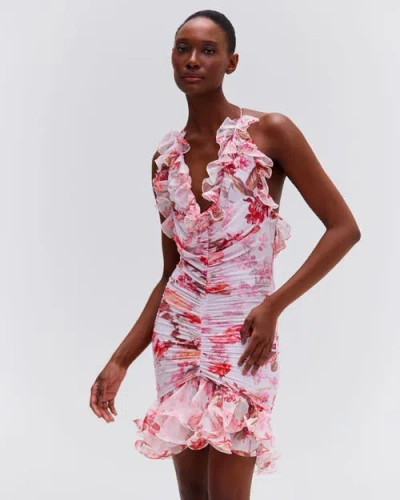 Patbo Floral Haze Stetch Tulle Sleev In Vapor
