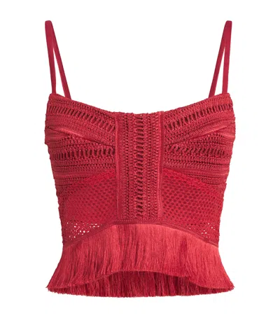 Patbo Fringed Radiant Crop Top In Red