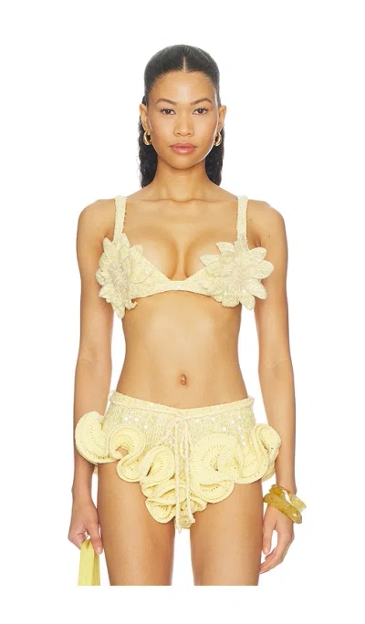 Patbo Iara Crochet Embroidered Bra Top In Yellow