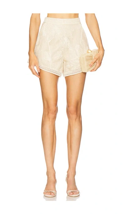 Patbo Joy Lace Short In Neutral