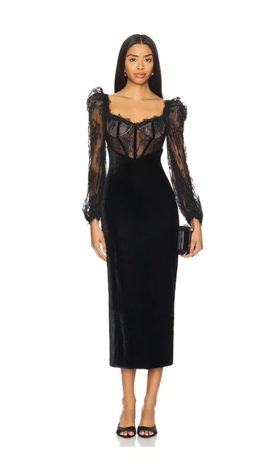 Patbo Lace And Velvet Midi Dress In Black
