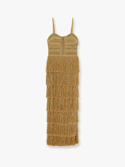 Patbo Long Dress With Embroidered Courset And Fringes In Brown