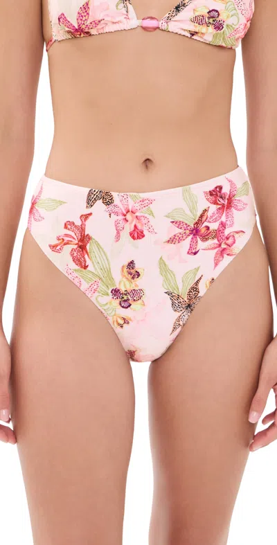 Patbo Orchid Bloom Bikini Bottoms Rose In Pink