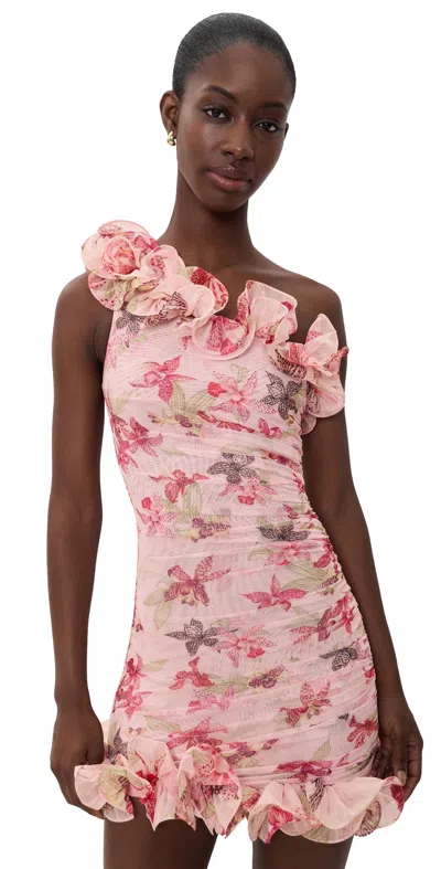 Patbo Orchid Bloom Mini Dress Rose In Pink