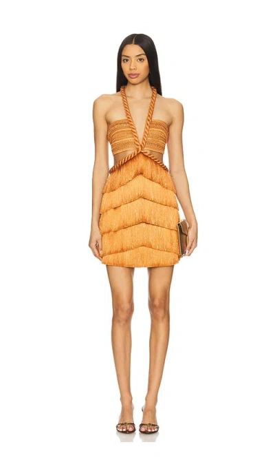 Patbo Pampas Fringe Mini Dress In Metallic Bronze