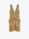 Patbo Pampas Mini Dress With Embroidery And Fringes In Gold