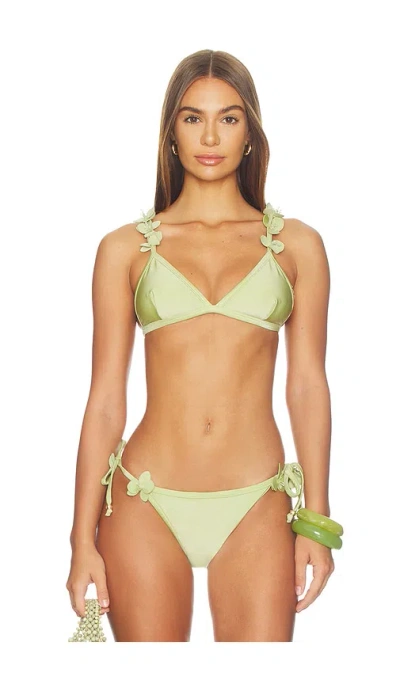 Patbo Petal Bikini Top In Green