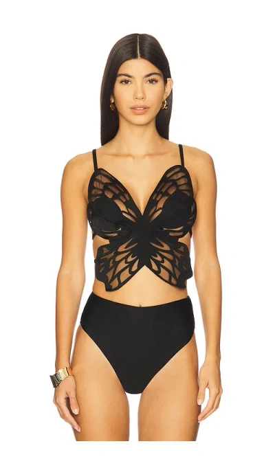 Patbo Runway Tulle Butterfly Top In Black