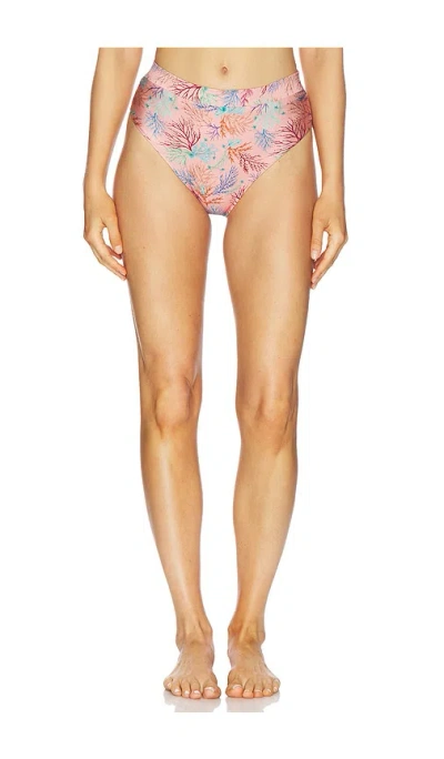 Patbo Seaweed High Waist Bikini Bottom In Pink