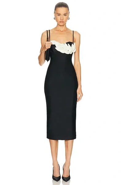 Patbo Selene Mesh Midi Dress In Black