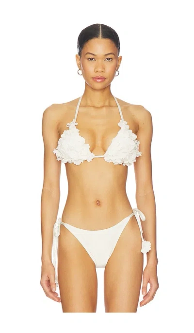Patbo Sunstone Lace Triangle Bikini Top In White