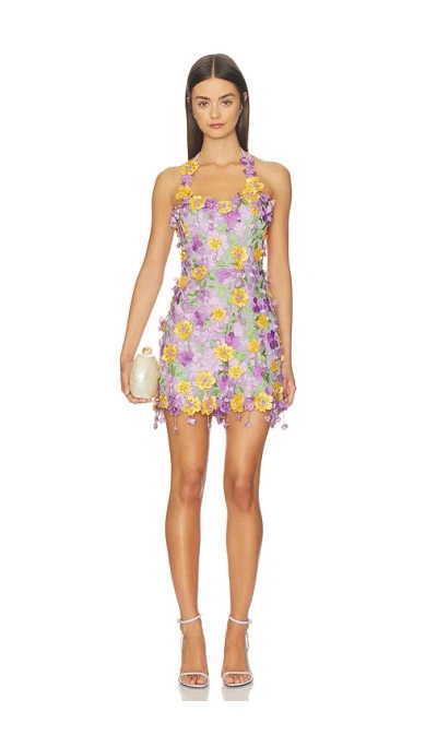 Patbo Tulle Pina Embroidered Mini Dress In Purple