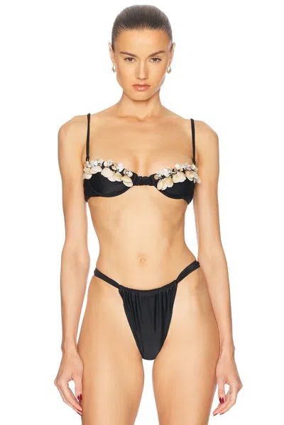 Patbo X Camila Coelho Bikini Top In Black