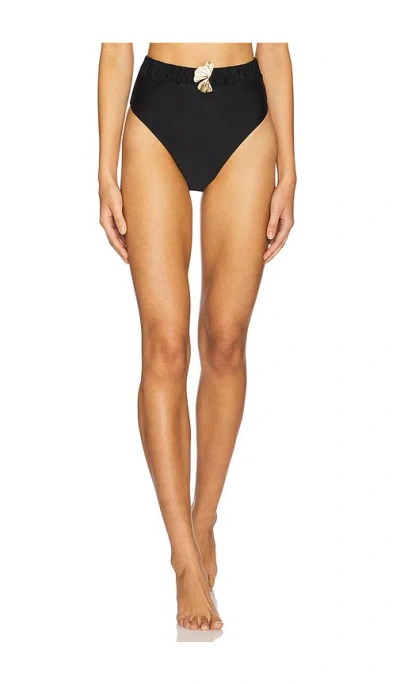 Patbo X Revolve Seashell Lycra Leaf Bikini Bottom