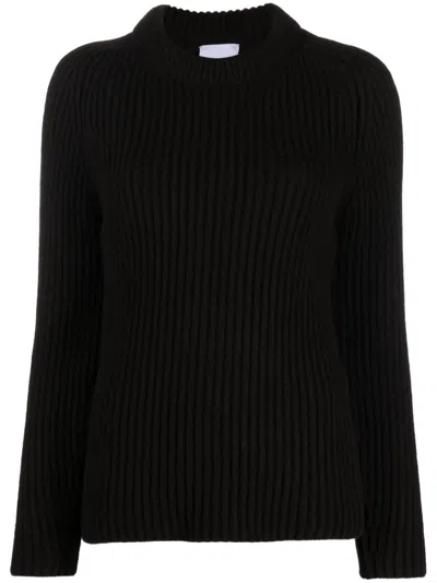Patou 3d Crew-neck Ribbed Jumper In Brown