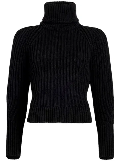 Patou Roll-neck Wool Jumper In Black