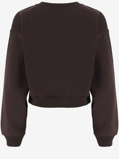Patou Cotton Logo Sweatshirt In Brown
