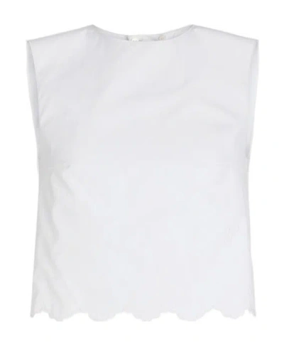 Patou Logo Embroidered Cropped Top In White