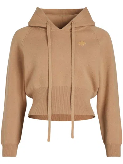 Patou Knitted Hoodie In 褐色