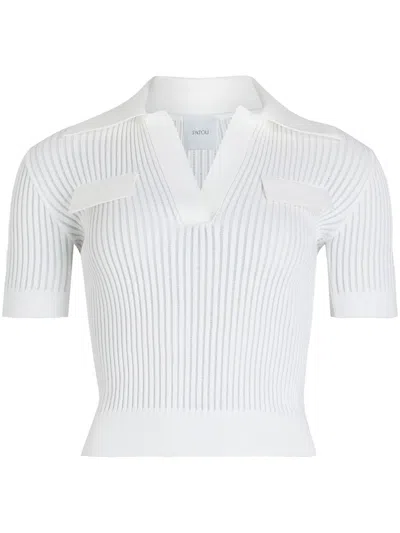 PATOU RIBBED KNIT POLO TOP