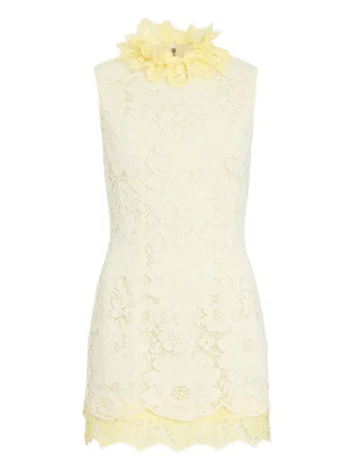 Patou Lace Ruffled Mini Dress In Gray