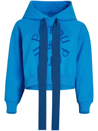 Patou Medallion Organic-cotton Hoodie In Blue