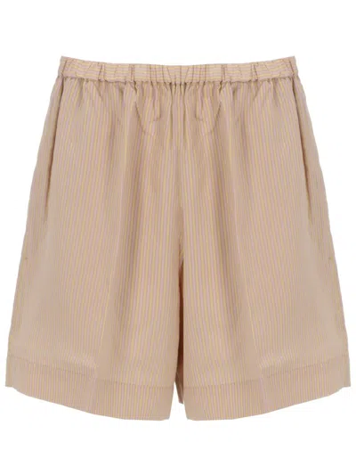Patou Tailored Pants Striped Pattern Back Pocket In Brown