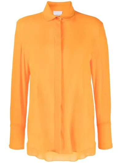 Patou Painter Textured Cotton Shirt In Orange