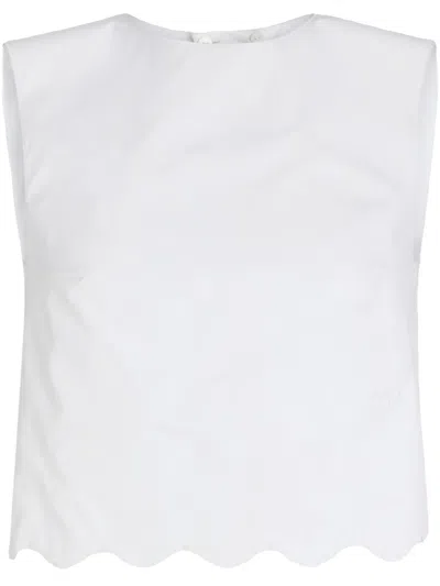 Patou Cropped Open-back Scalloped Cotton-poplin Top In White
