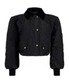 Shop Patou Quilted Recycled-nylon Cropped Jacket In Black