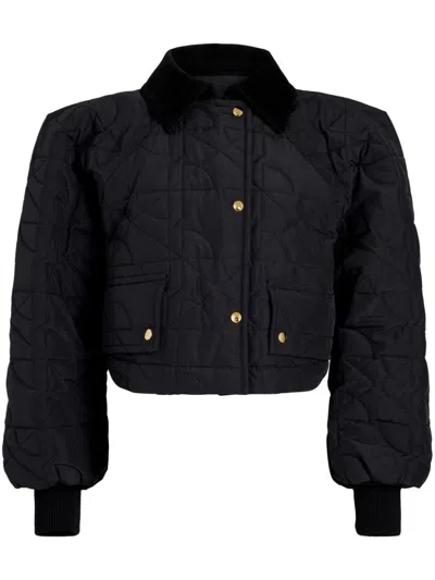 Patou Quilted Recycled-nylon Cropped Jacket In Black