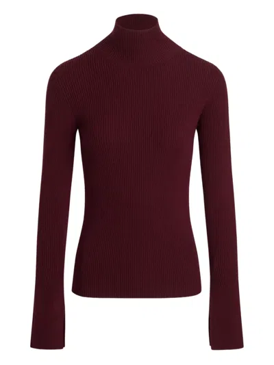 Patou Ribbed High-neck Jumper In Burgundy